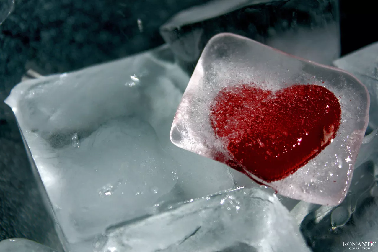 Научиться любить