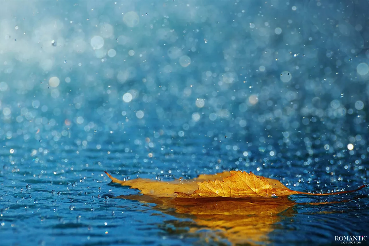 Осенняя сказка