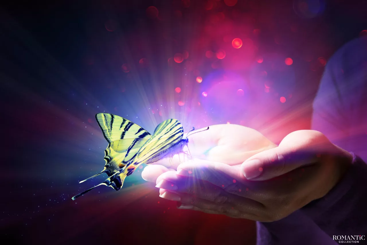 Все в твоих руках