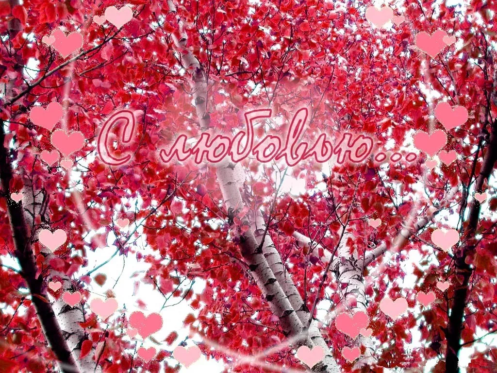 Романтические обои