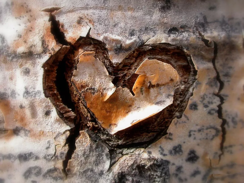 Сердце обои