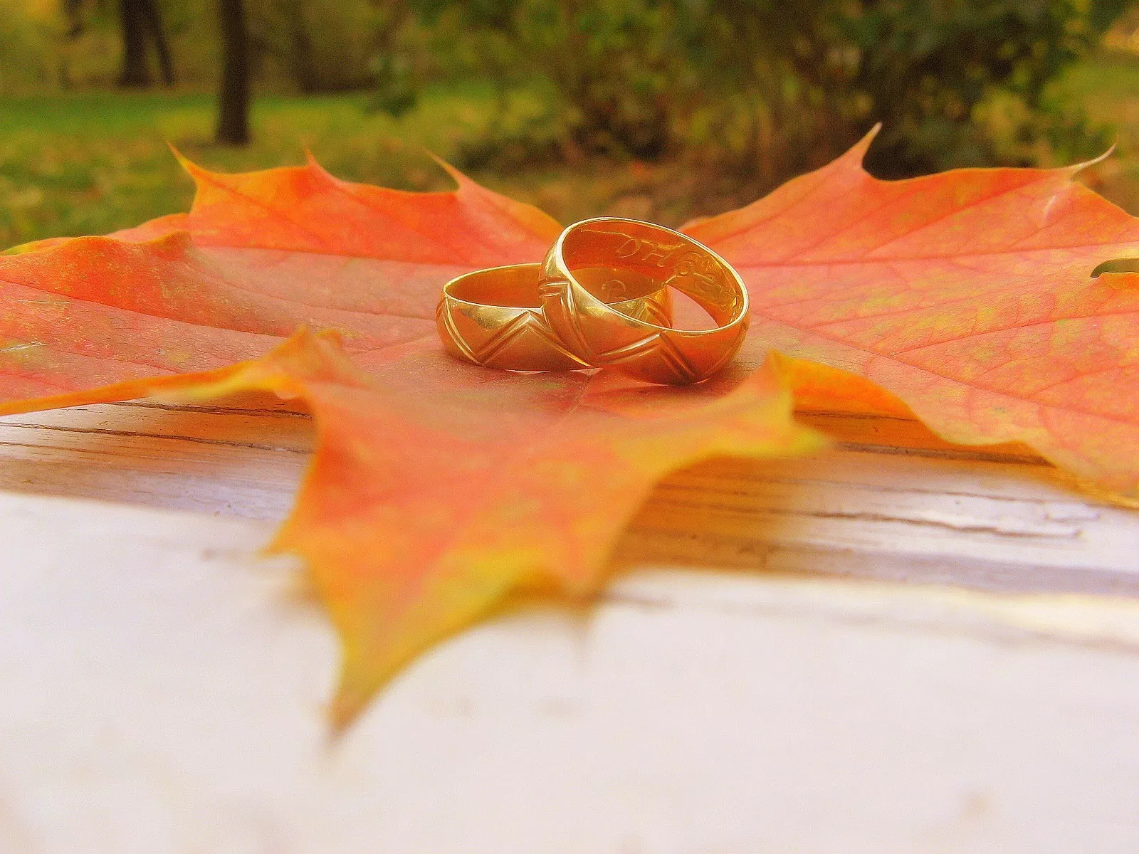 Обручальные кольца