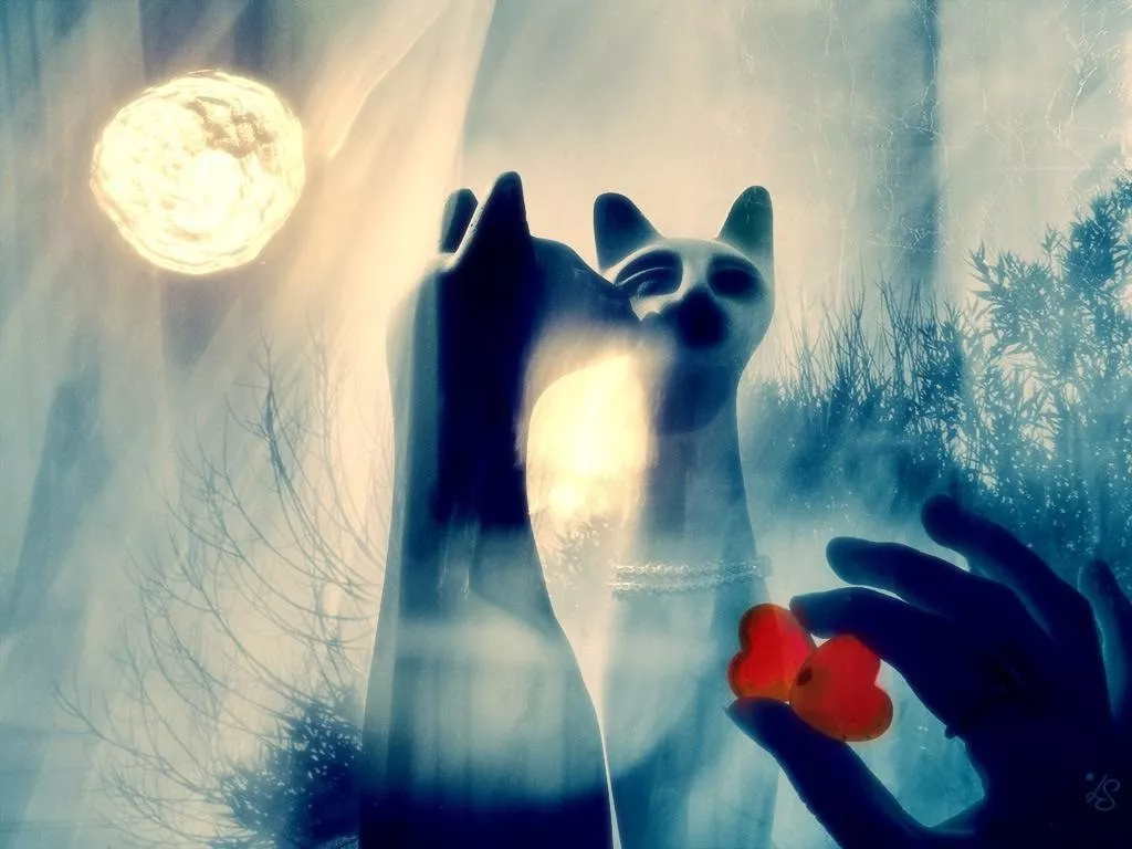 Романтические обои