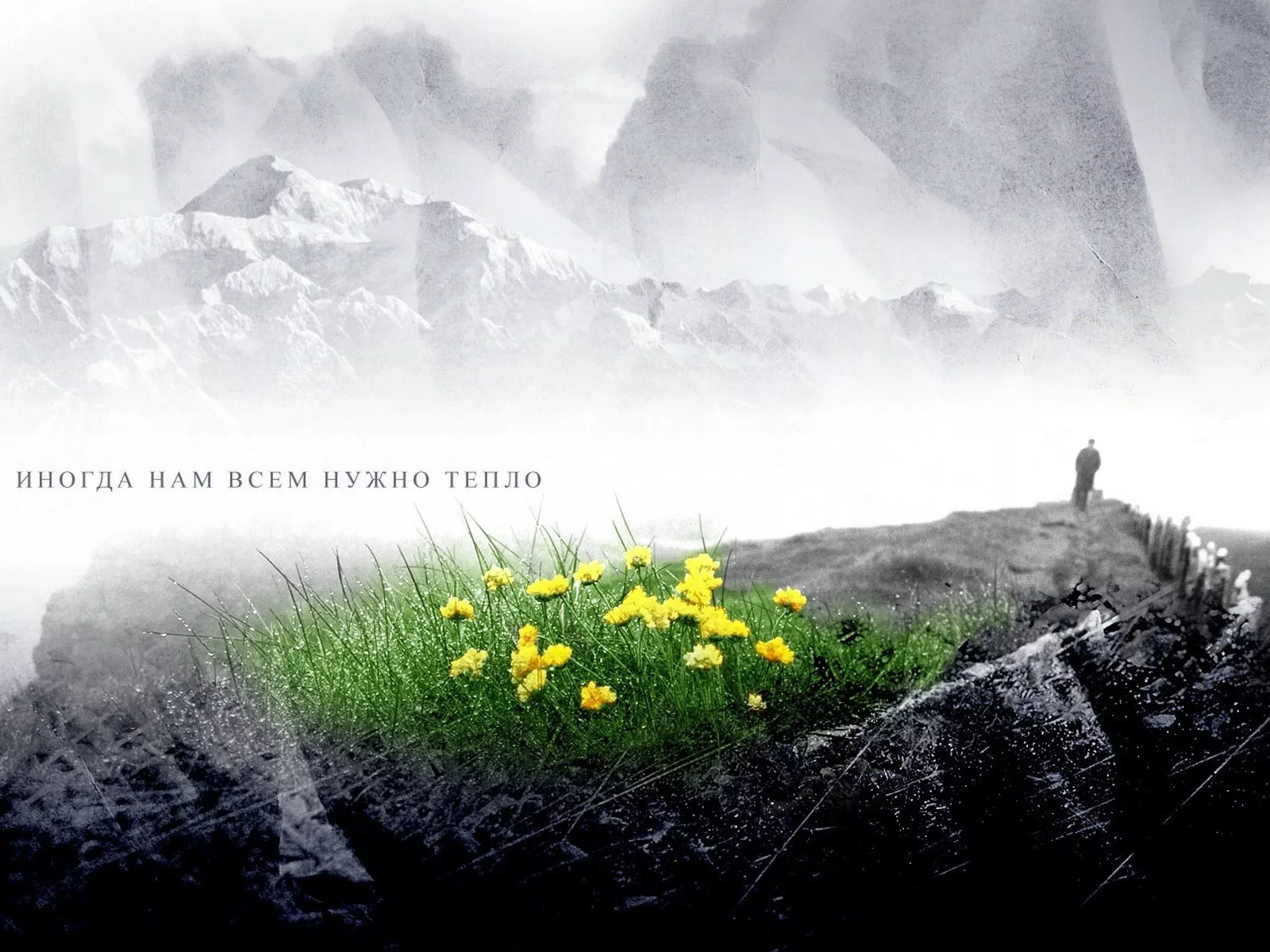 Романтические обои