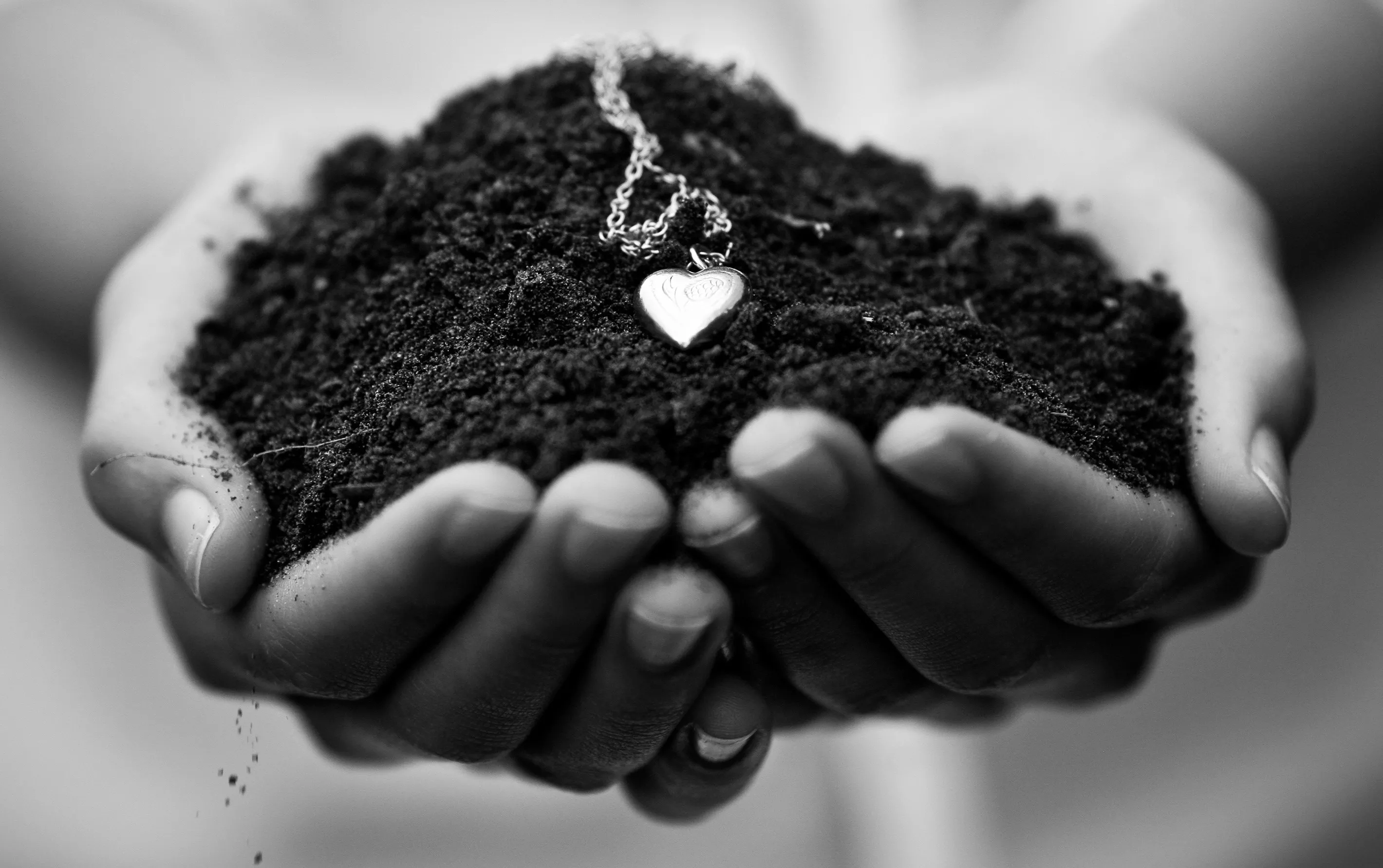 Сердечко в руках