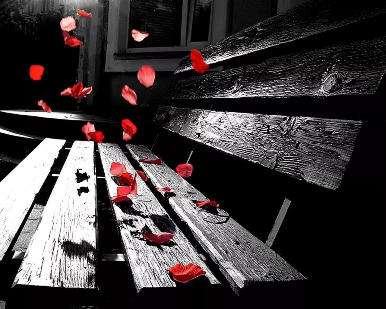 Лепестки роз