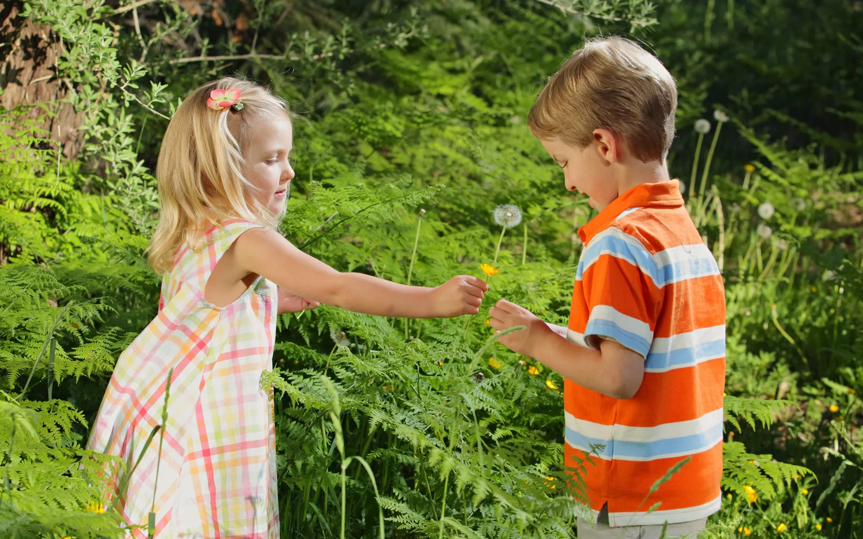 Мальчик и девочка