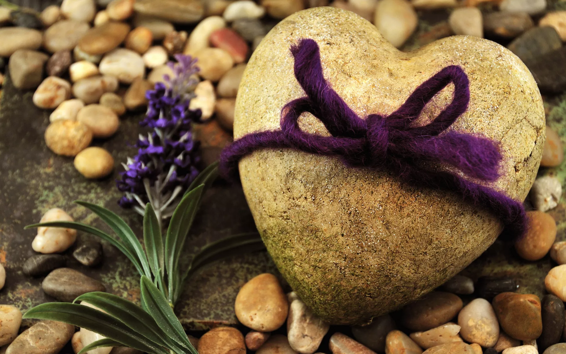 Сердце из камня