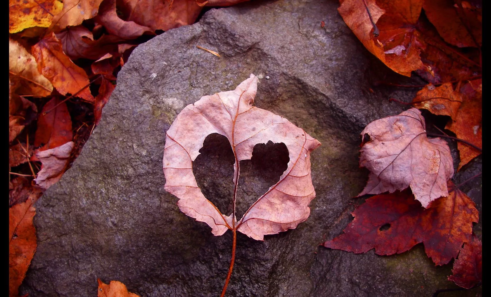 Осенний листочек