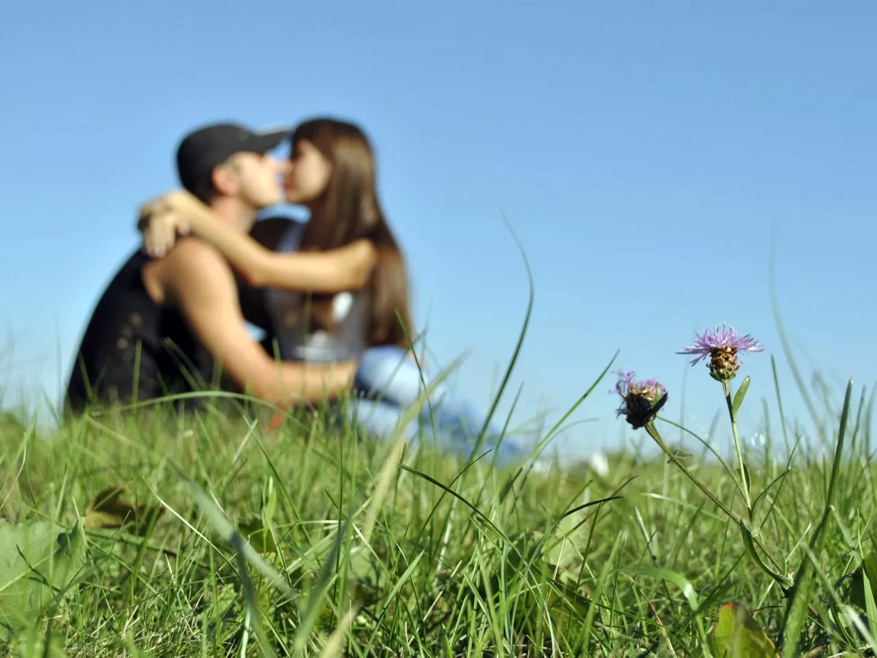 Влюбленные на весеннем лугу