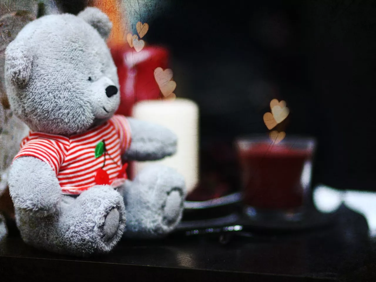 Серый медвежонок