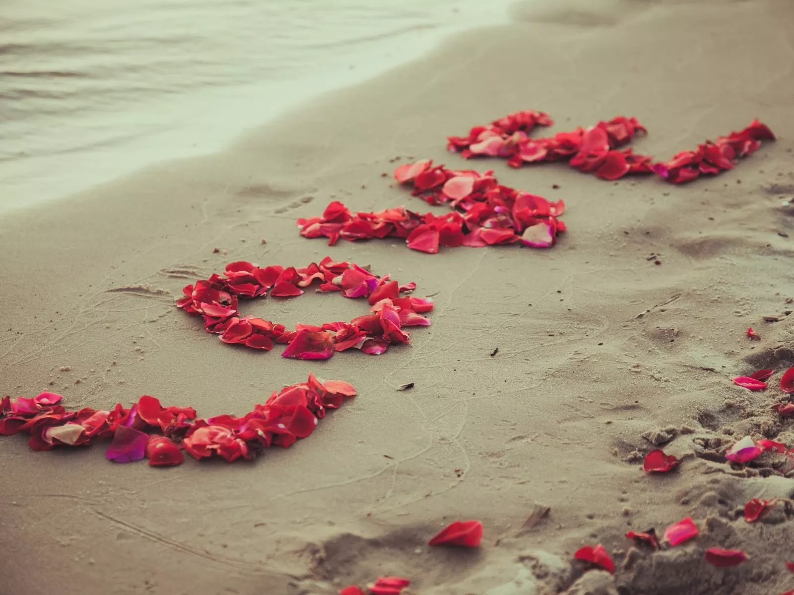 Надпись из лепестков на песке