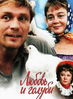 Фильм о любви: Любовь и голуби