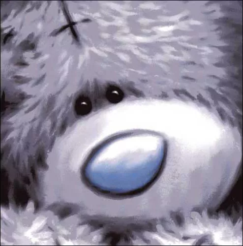 Пушистые мишки