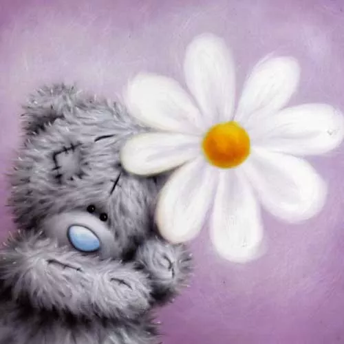 Пушистые мишки