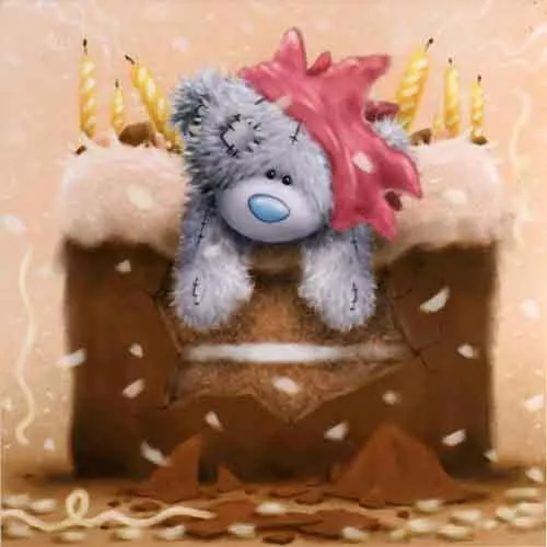 Пушистые мишки