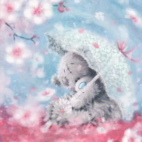 Пушистые мишки