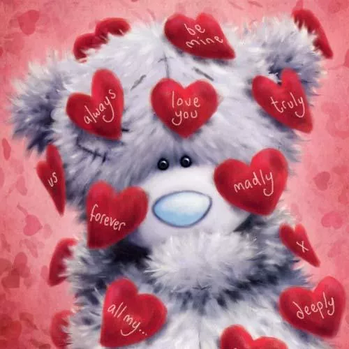 Пушистые мишки