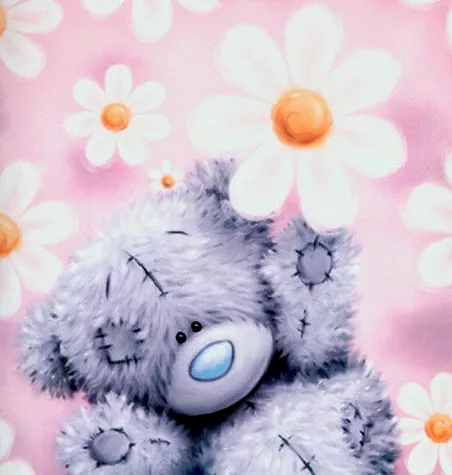 Пушистые мишки