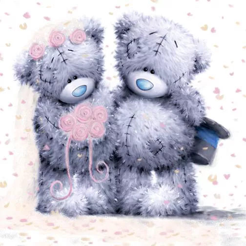 Пушистые мишки