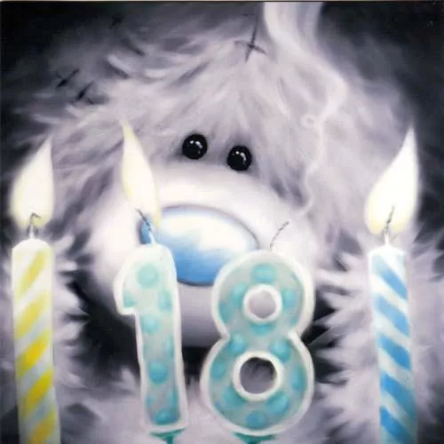 Пушистые мишки