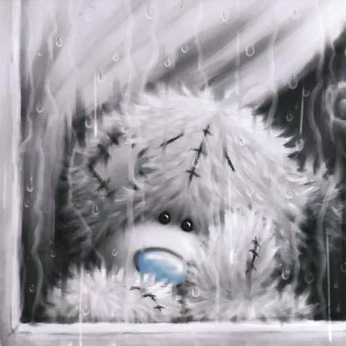 Пушистые мишки