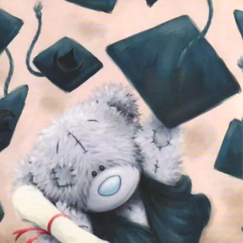 Пушистые мишки