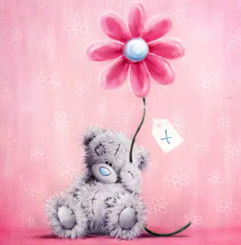 Пушистые мишки