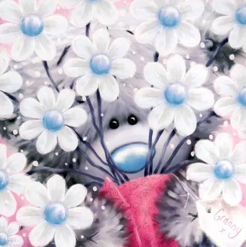 Пушистые мишки