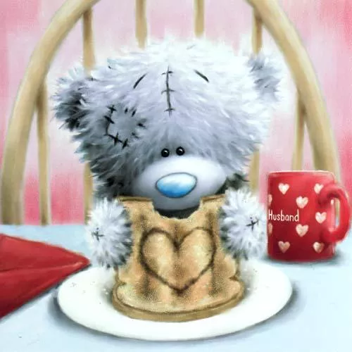 Пушистые мишки