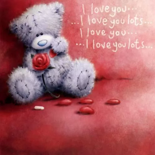 Пушистые мишки