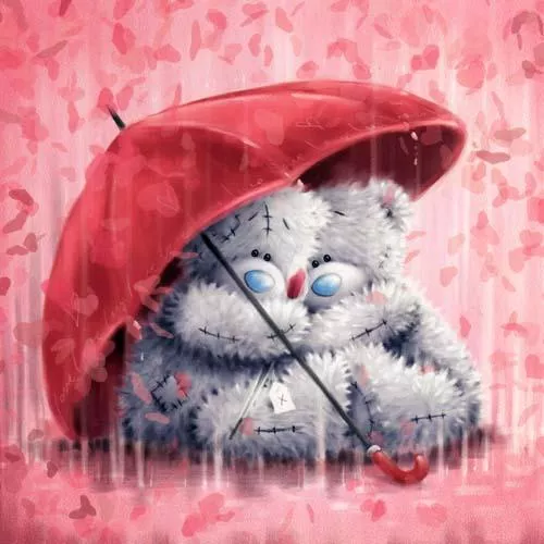 Пушистые мишки