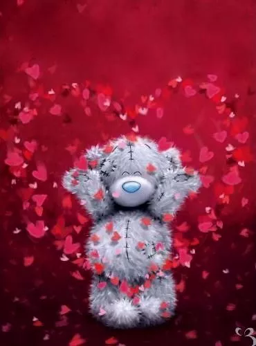 Пушистые мишки