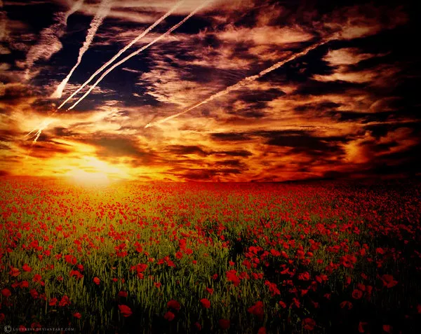 Нежные сказки Louvre89