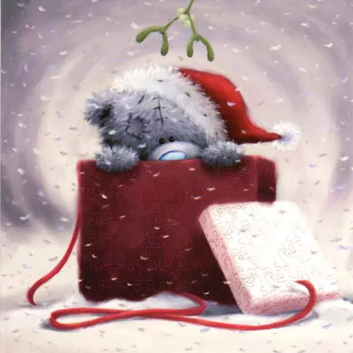 Пушистые мишки