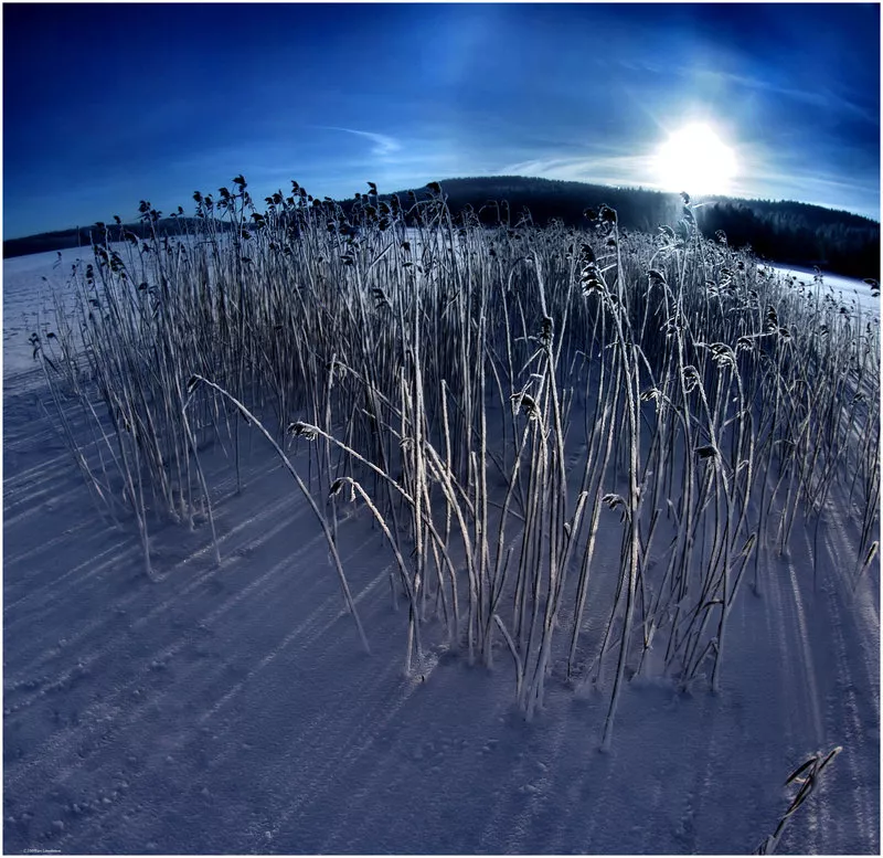 Зимние пейзажи Kari Liimatainen