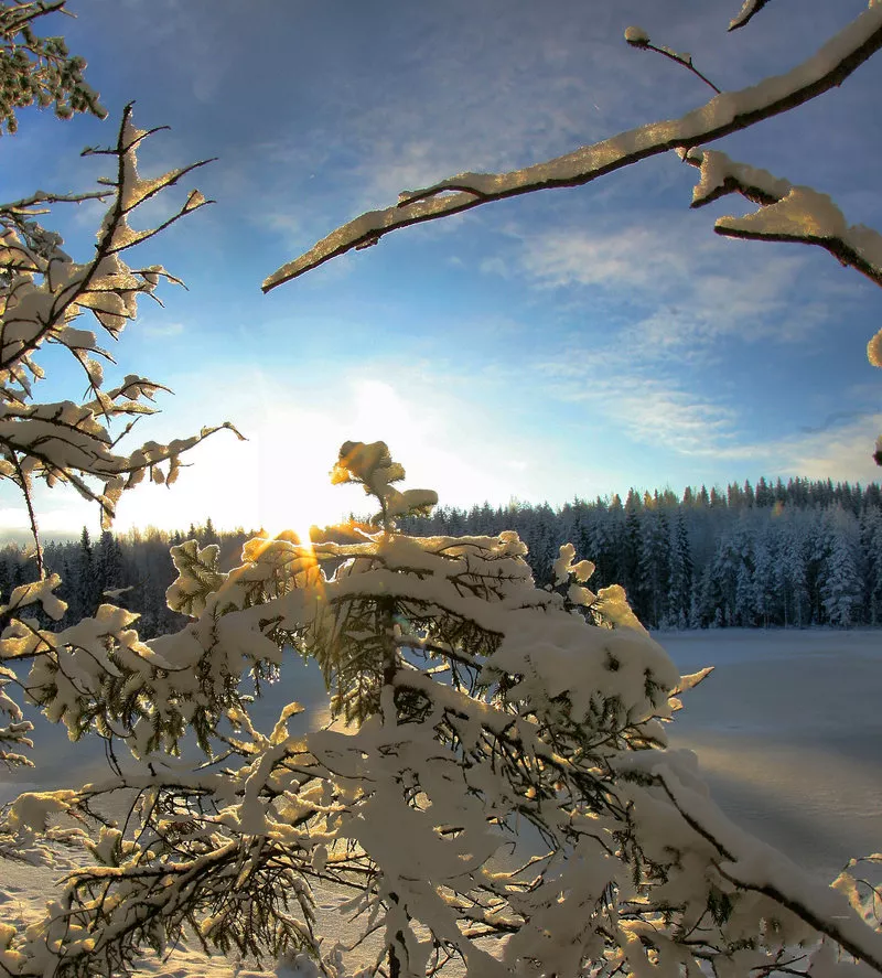 Зимние пейзажи Kari Liimatainen