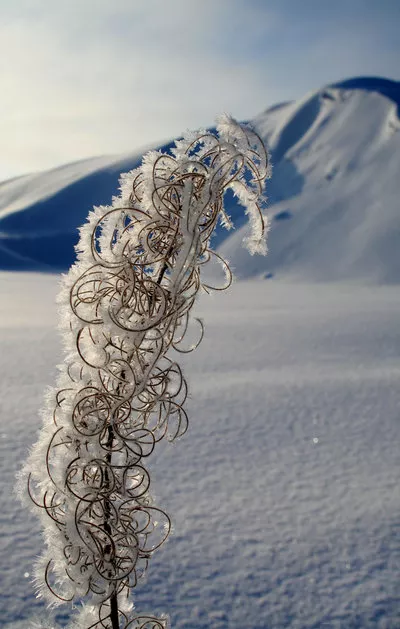 Зимние пейзажи Kari Liimatainen