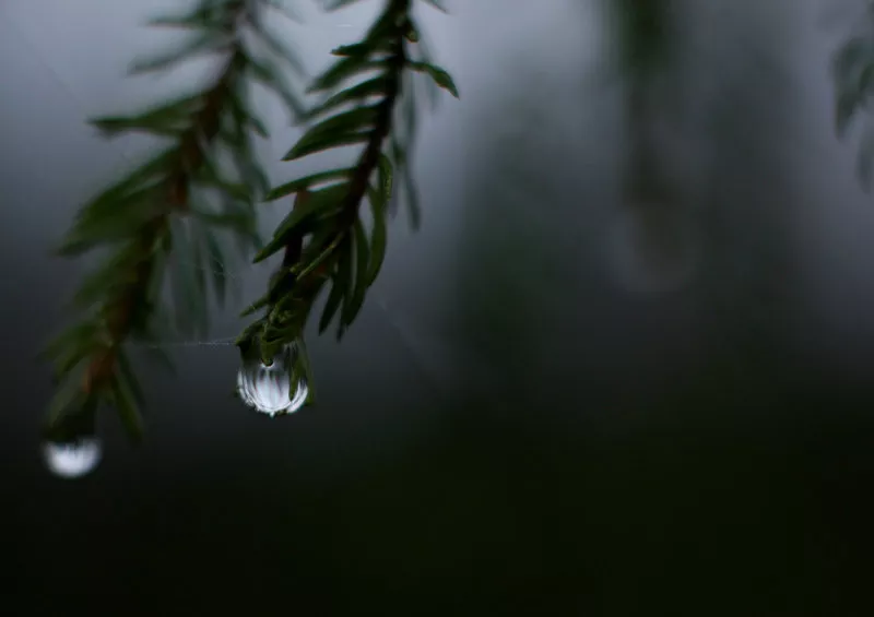 Зимние пейзажи Kari Liimatainen