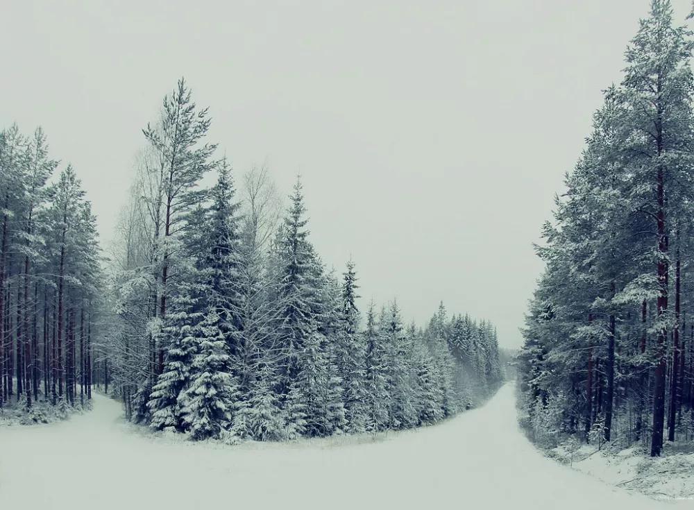 Зимние пейзажи Kari Liimatainen