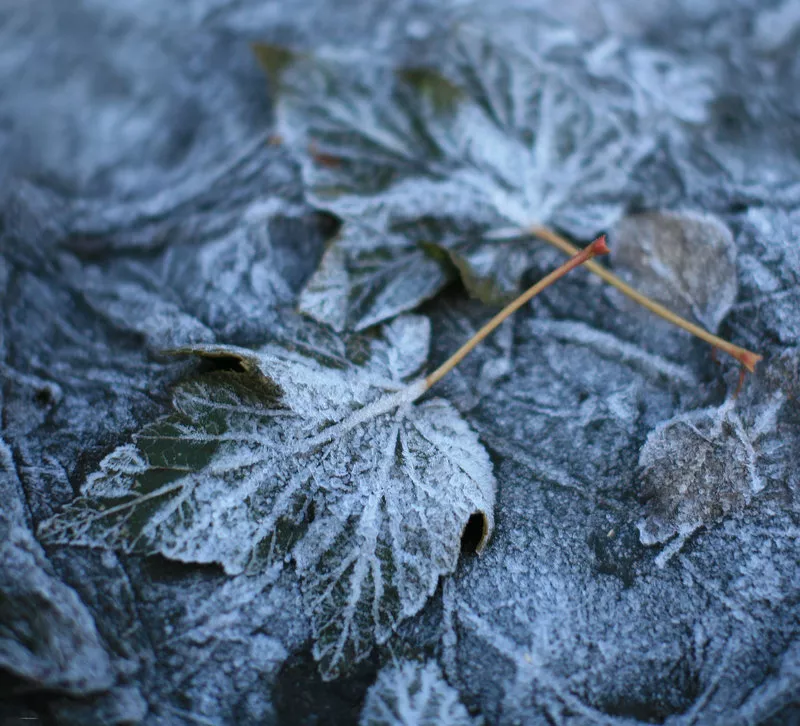 Зимние пейзажи Kari Liimatainen