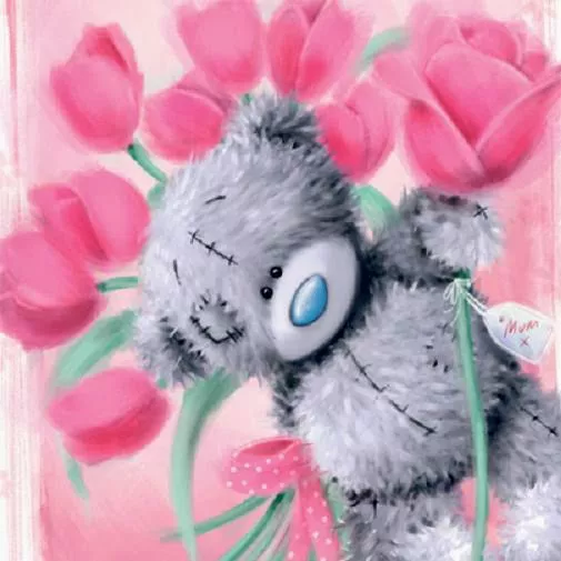 Пушистые мишки