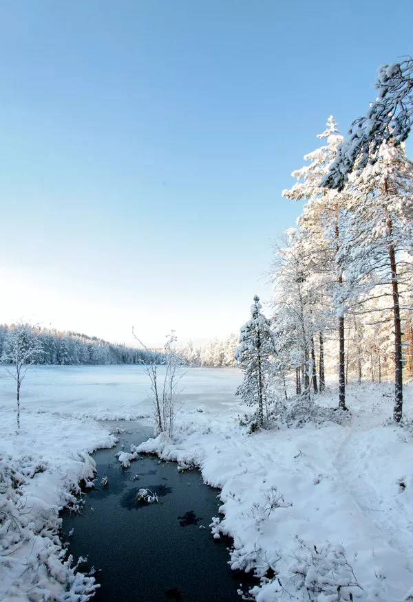 Зимние пейзажи Kari Liimatainen