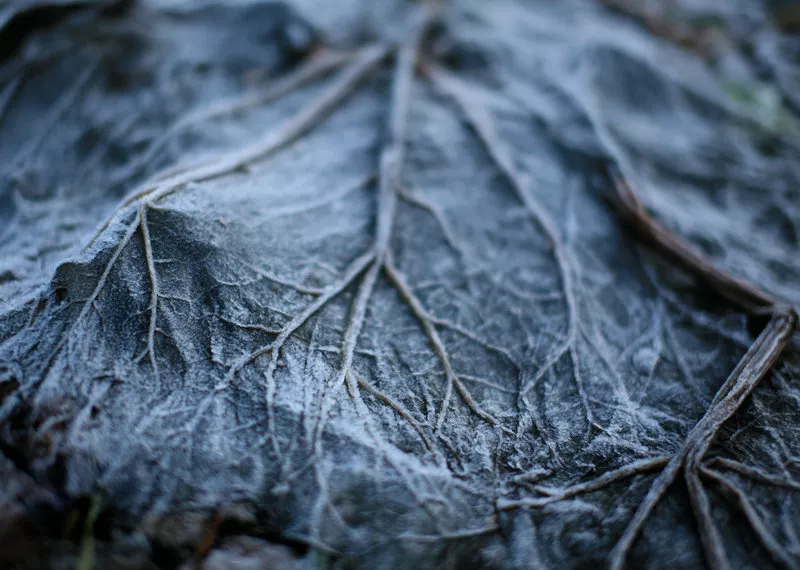 Зимние пейзажи Kari Liimatainen