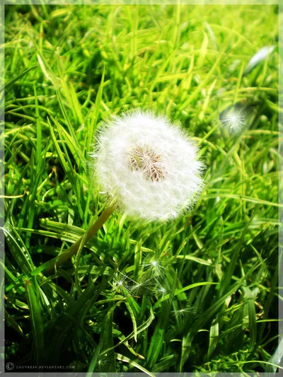 Нежные сказки Louvre89