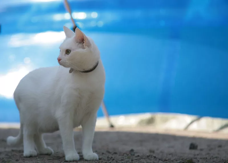 Зимние пейзажи Kari Liimatainen