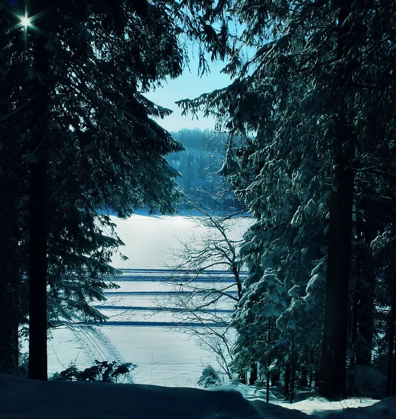 Зимние пейзажи Kari Liimatainen