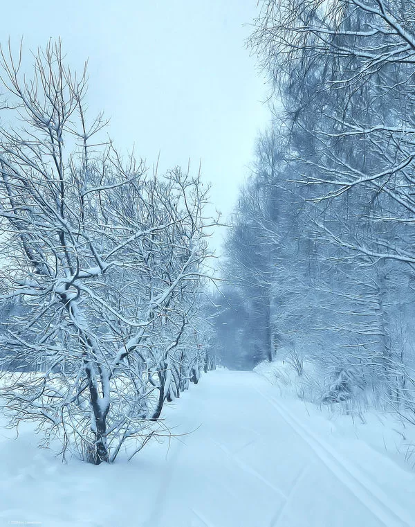 Зимние пейзажи Kari Liimatainen