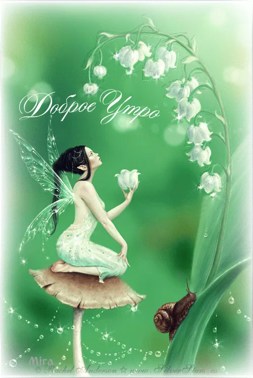 Ангелы (анимация)