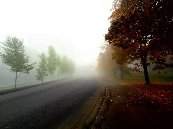 Зимние пейзажи Kari Liimatainen